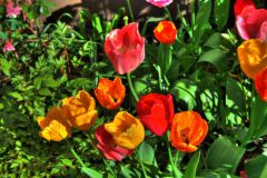 HDR Bilder
